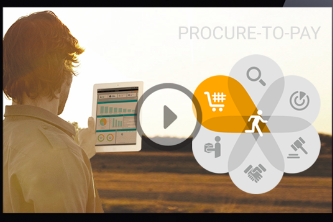 Procure to Pay_12 P2P Process