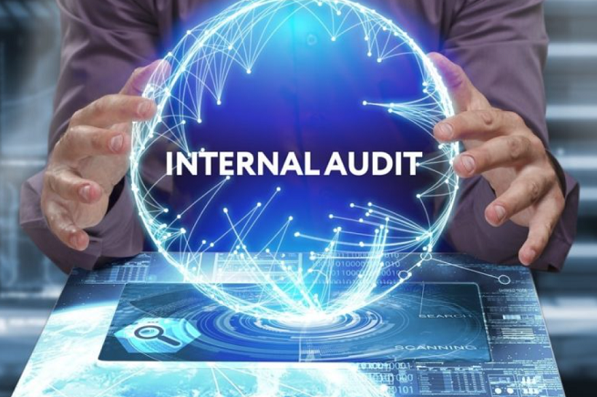Audit Control_6 Internal Audit